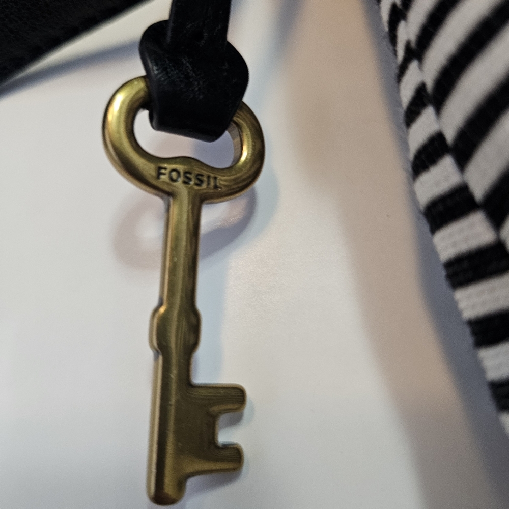 Fossil Leather Kinley Striped Crossbody - Picture 3 of 8